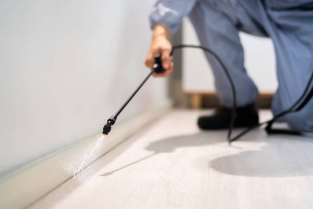 Licensed Pest Control service in Friona, TX - Show Me Pest Control